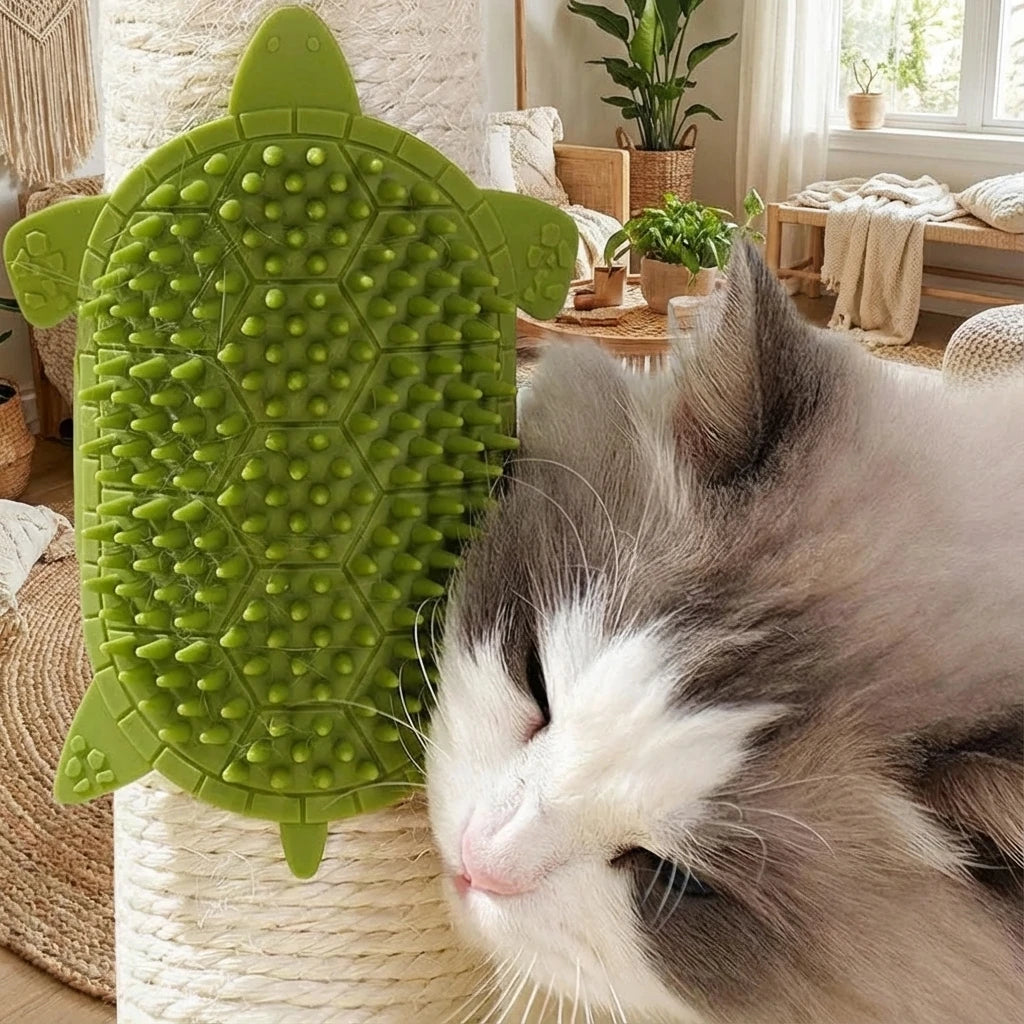 Corner Scratcher & Brush